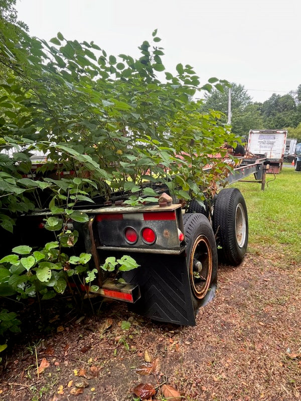 1994 40' Strick Chassis